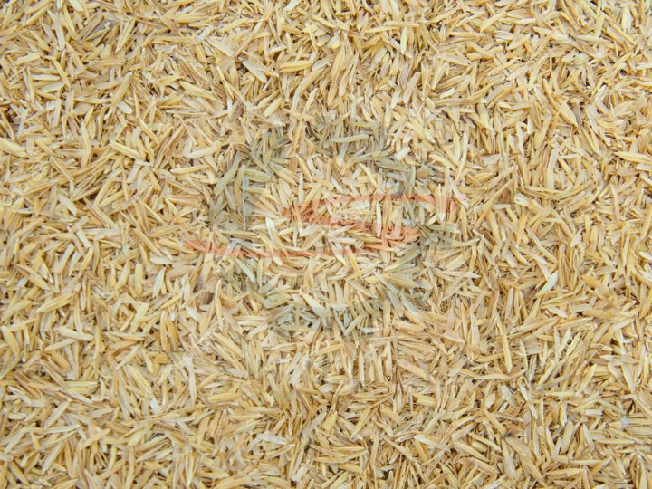 Secado de cáscara de arroz
