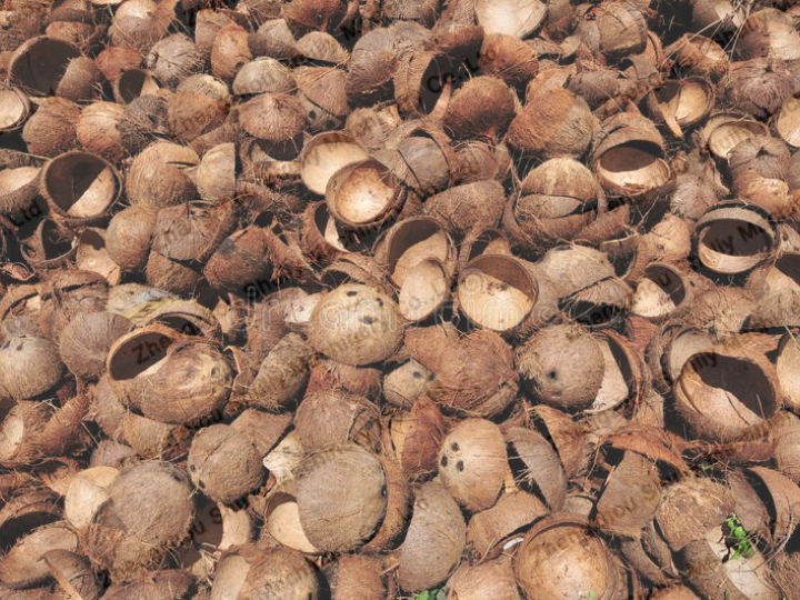 Coquille de noix de coco