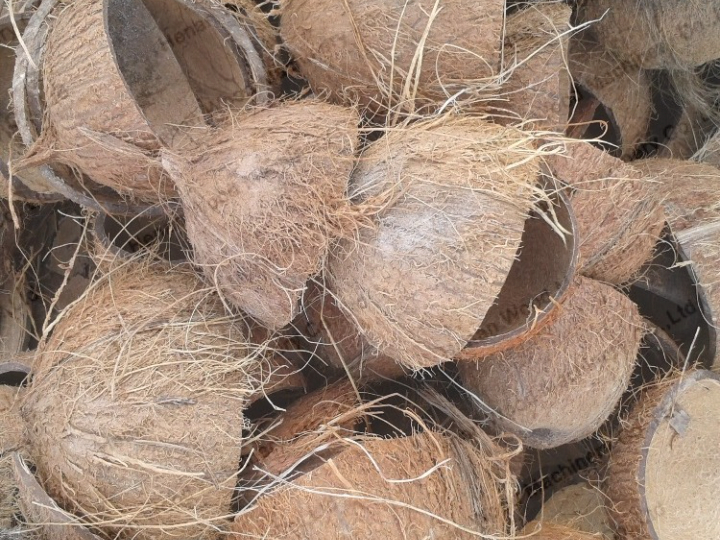 Coquille de noix de coco