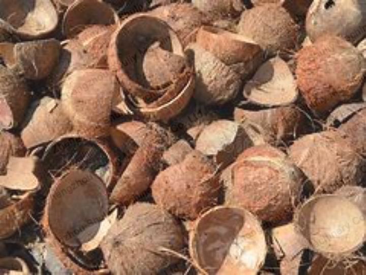 Cascara de coco